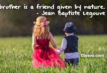 Brother and Sister Quotes | Brother and Sister Whatsapp Status