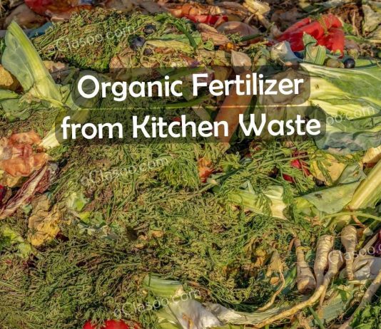 Organic Fertilizer from Kitchen Waste