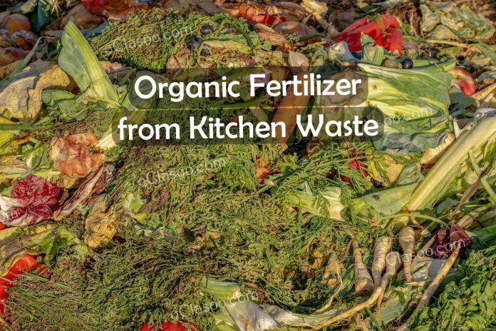 Organic Fertilizer from Kitchen Waste